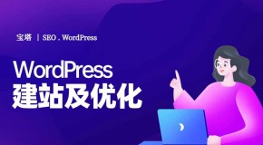 WordPress云主机建站及SEO优化实训
